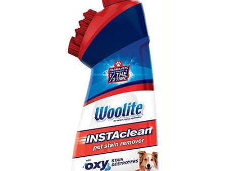 Woolite InstaClean with Oxy Pet Stain Destroyers  18 oz For Sale